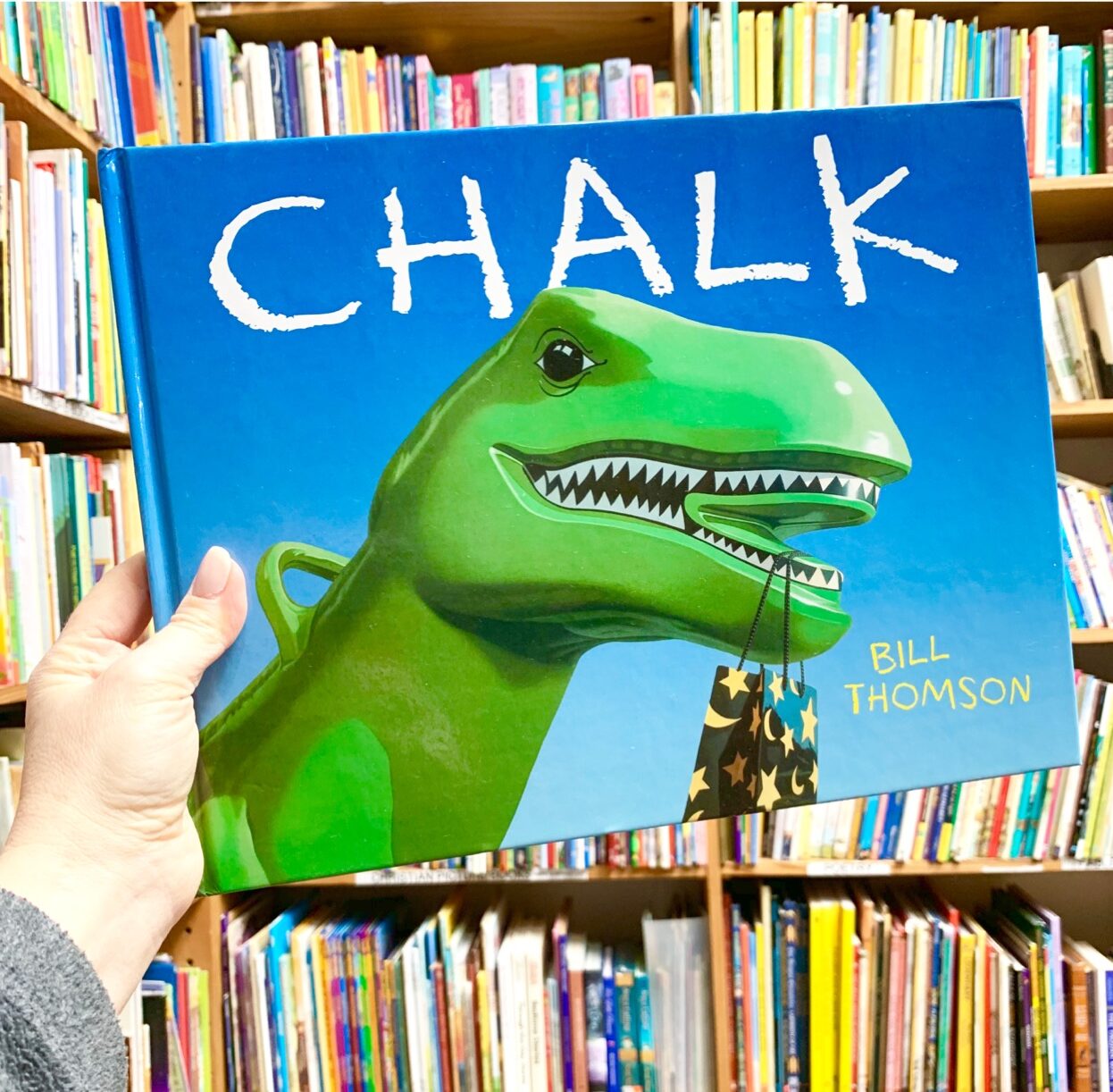 10 wordless picture books to use in speech therapy