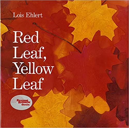speech and language teaching concepts for Red Leaf Yellow Leaf in speech therapy