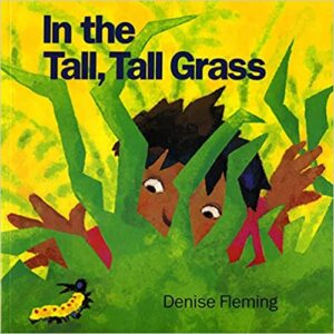 speech and language teaching concepts for In the Tall Tall Grass in speech therapy