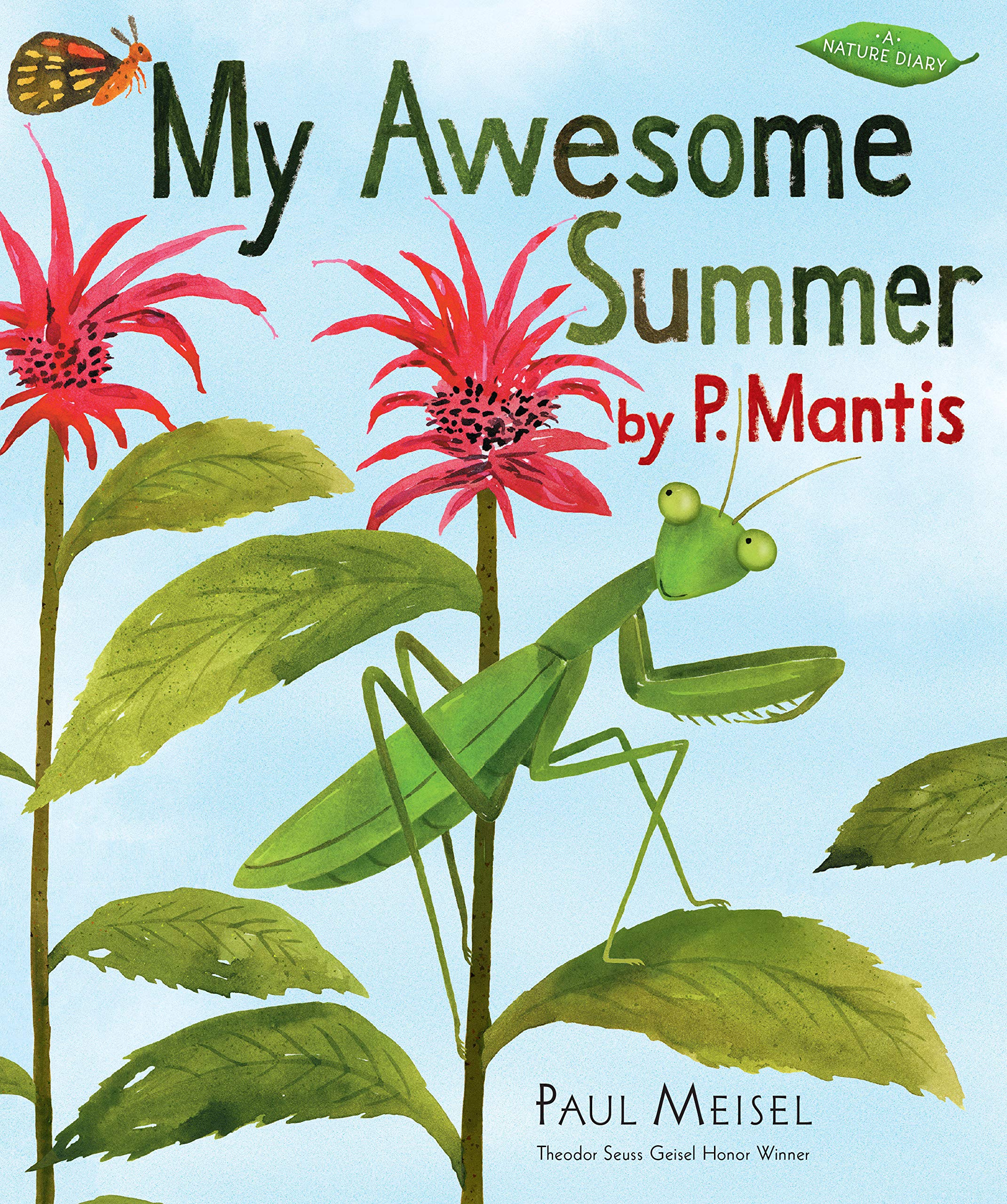 speech and language teaching concepts for My Awesome Summer by P. Mantis in speech therapy