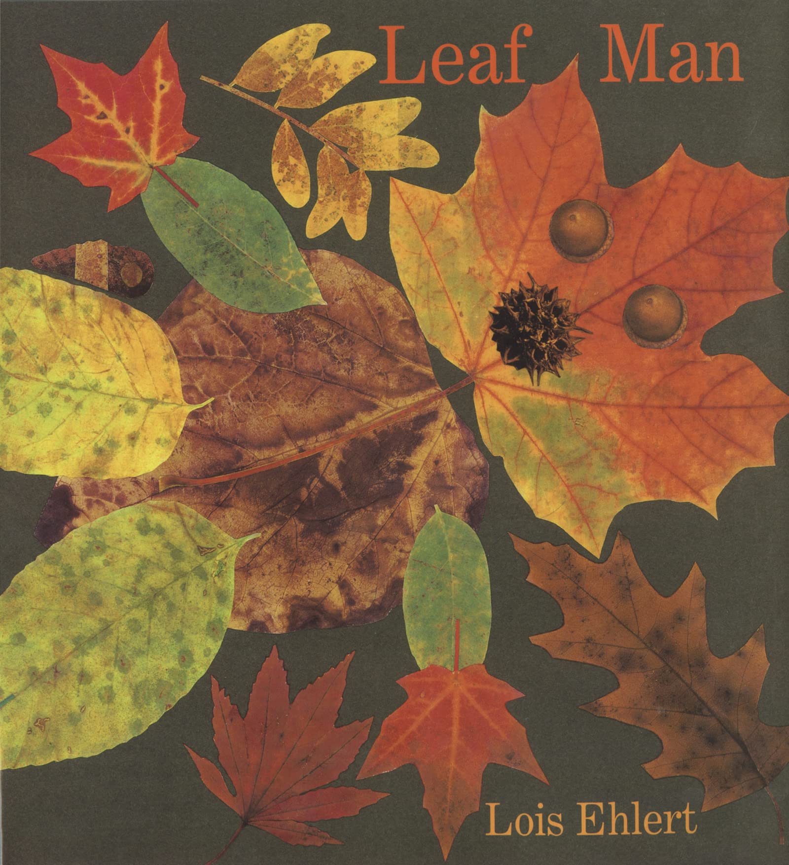 speech and language teaching concepts for Leaf Man in speech therapy​ ​